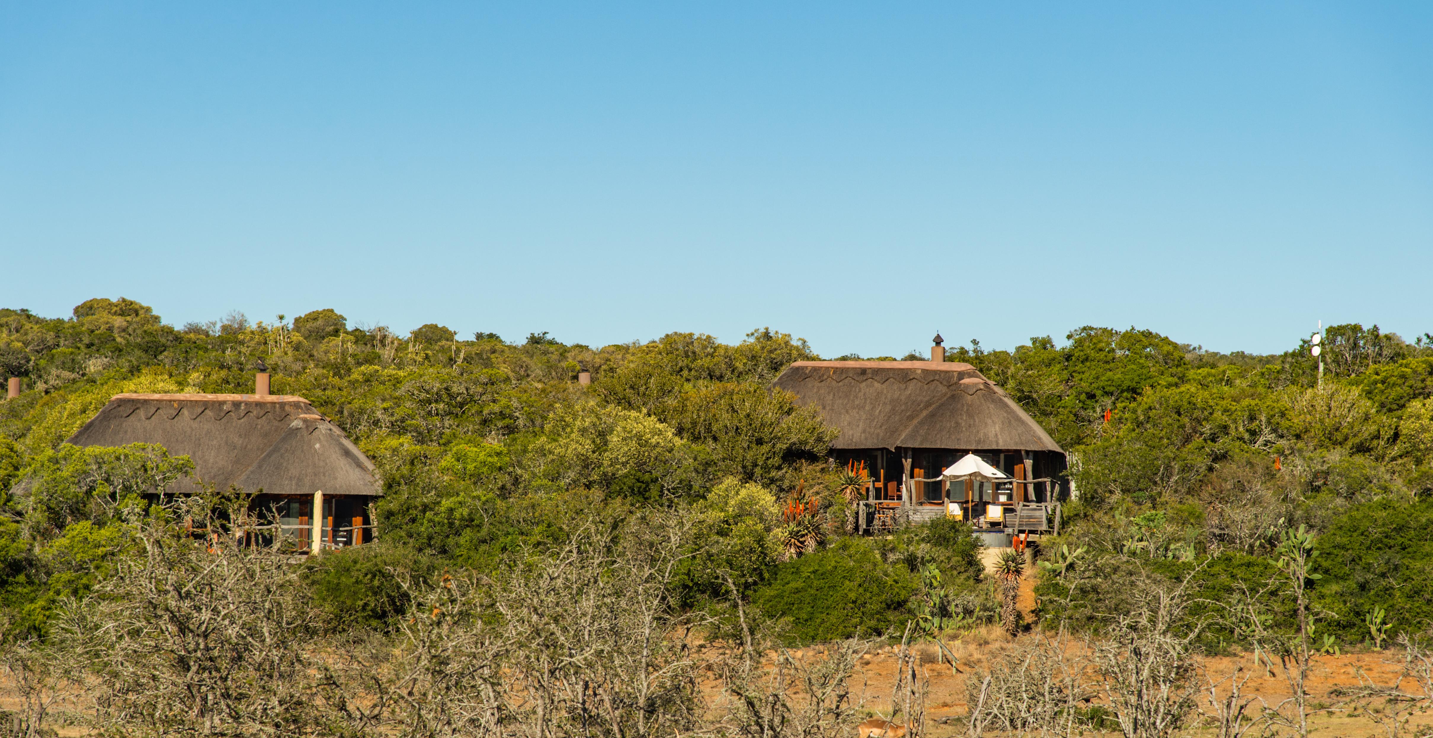 Pumba Private Game Reserve Port Elizabeth Luaran gambar