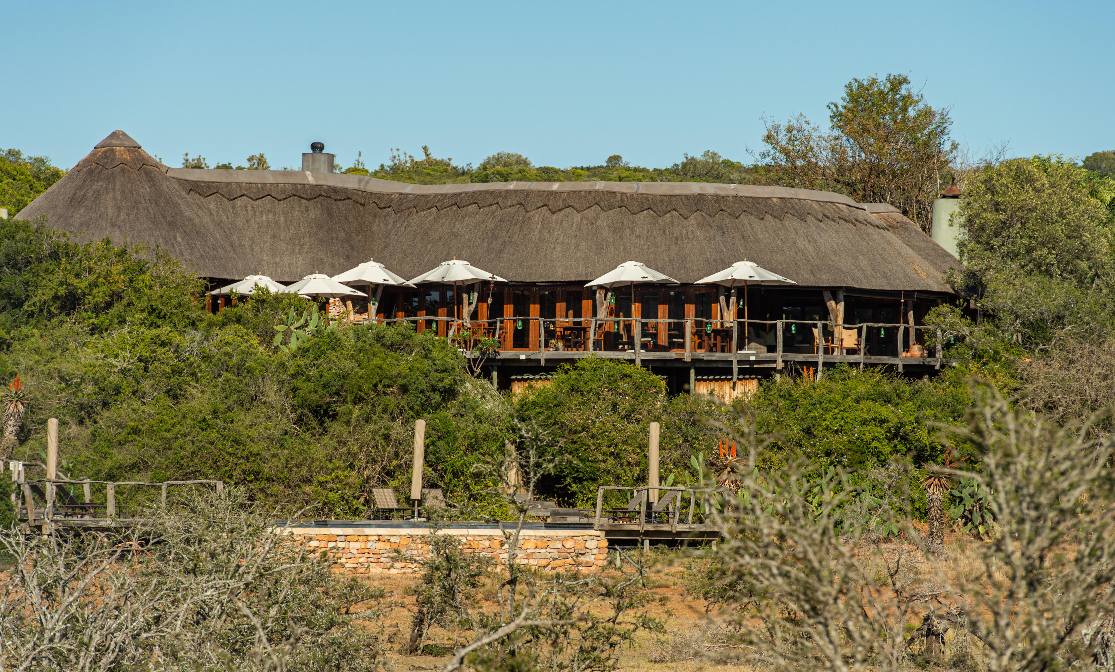 Pumba Private Game Reserve Port Elizabeth Luaran gambar